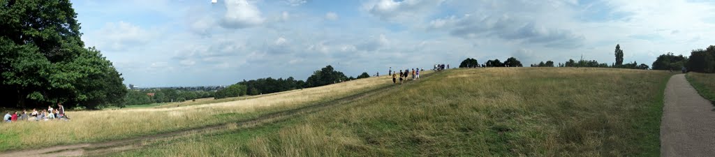 Hampstead Heath by Anja Müller