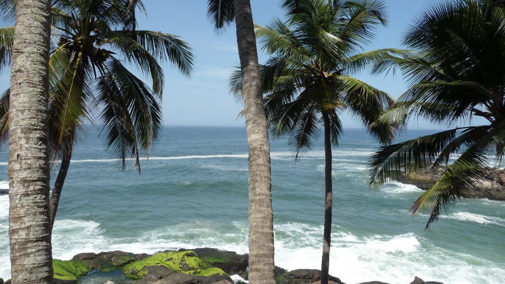 Kovalam, India by Martin Gotter