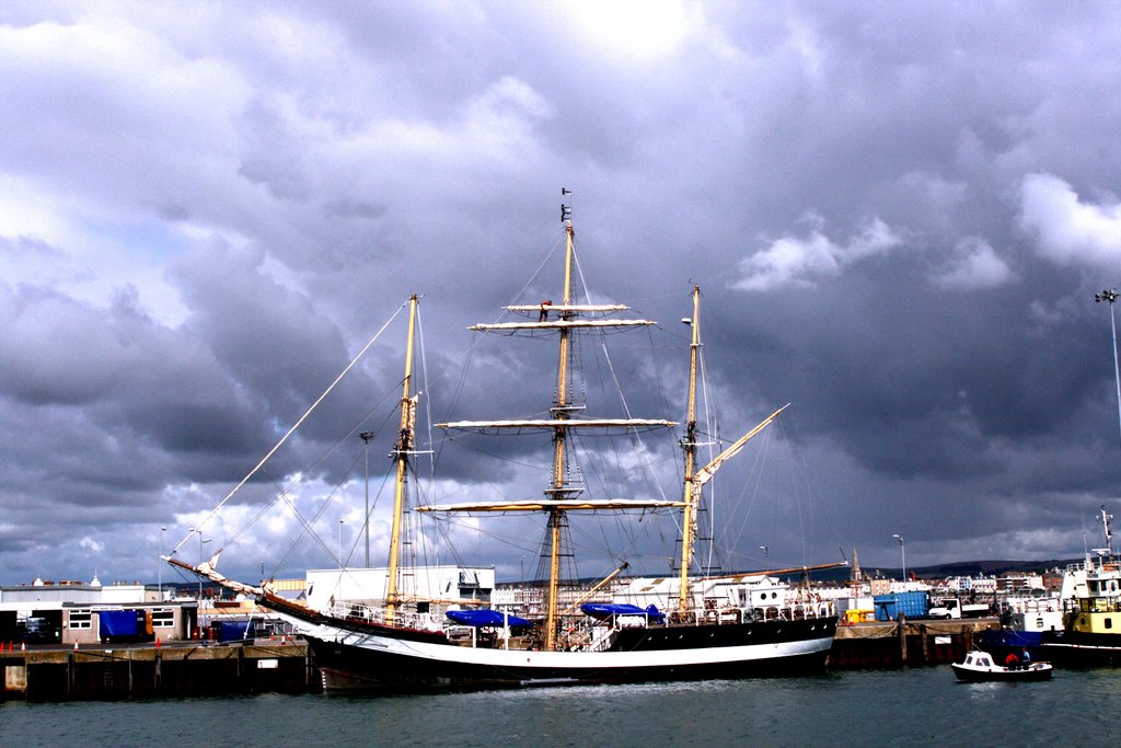 Pelican in Weymouth Harbour by Mal Durbin