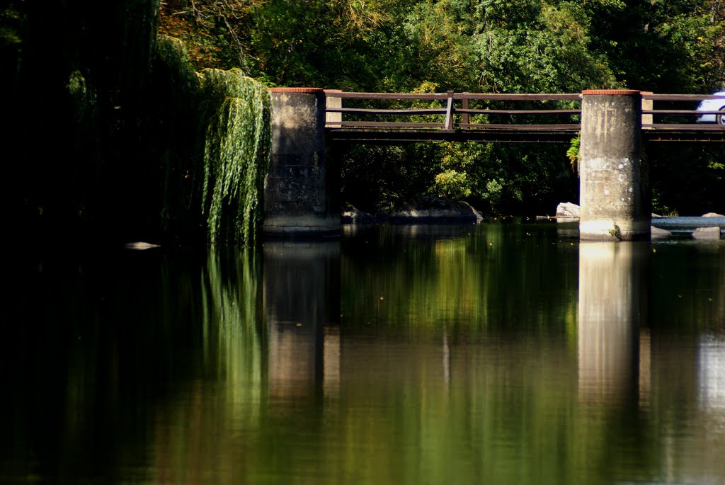 85610 Cugand, France by gudule