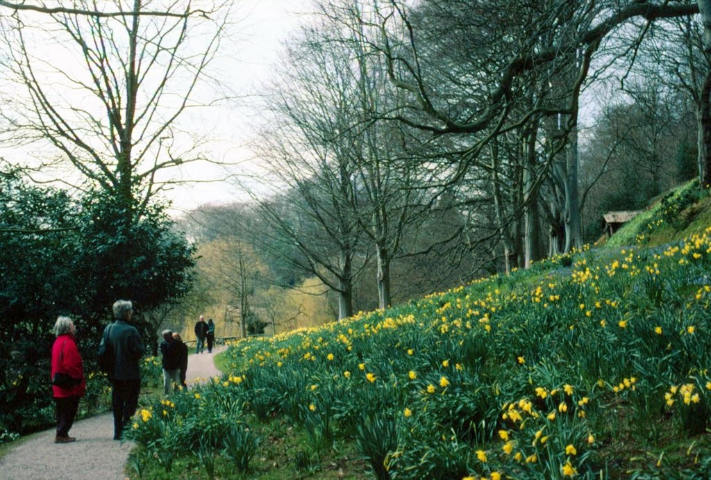 The Weir Garden, Wye valley, near Hereford by Andrew-k