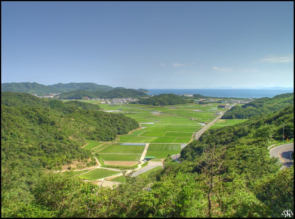 In the heart of summer in Awaji Shima by ANDRE GARDELLA