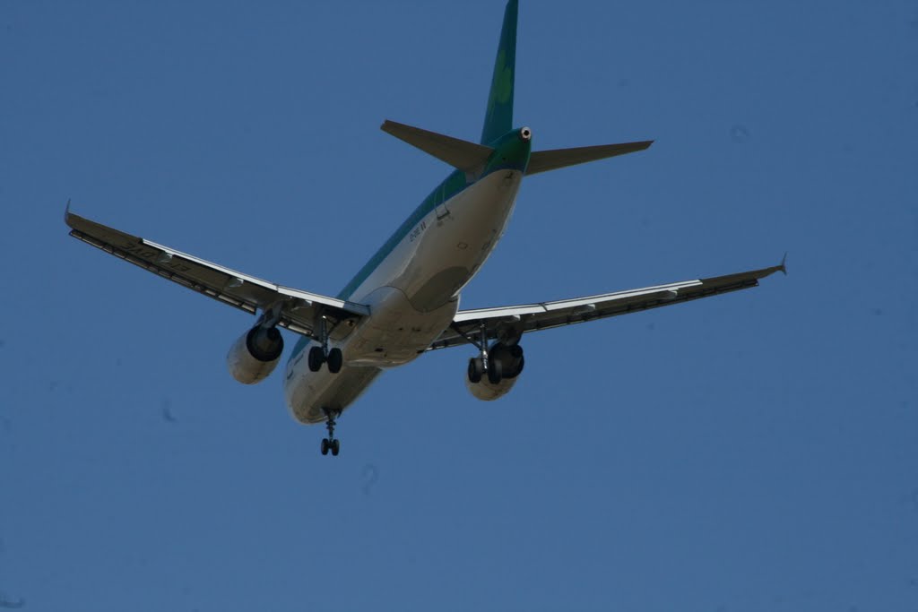 Air Lingus Airbus A320-214 EI-DVE by tormentor4555