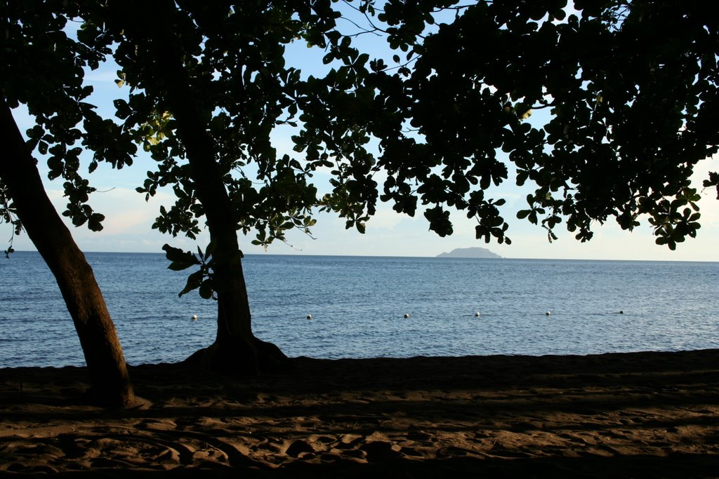 Dauin Sea Sanctuary by rbetinol