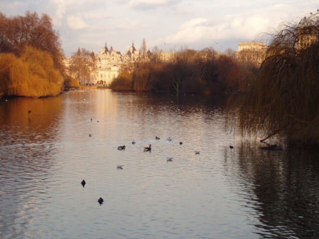 St. James Park by Quinti