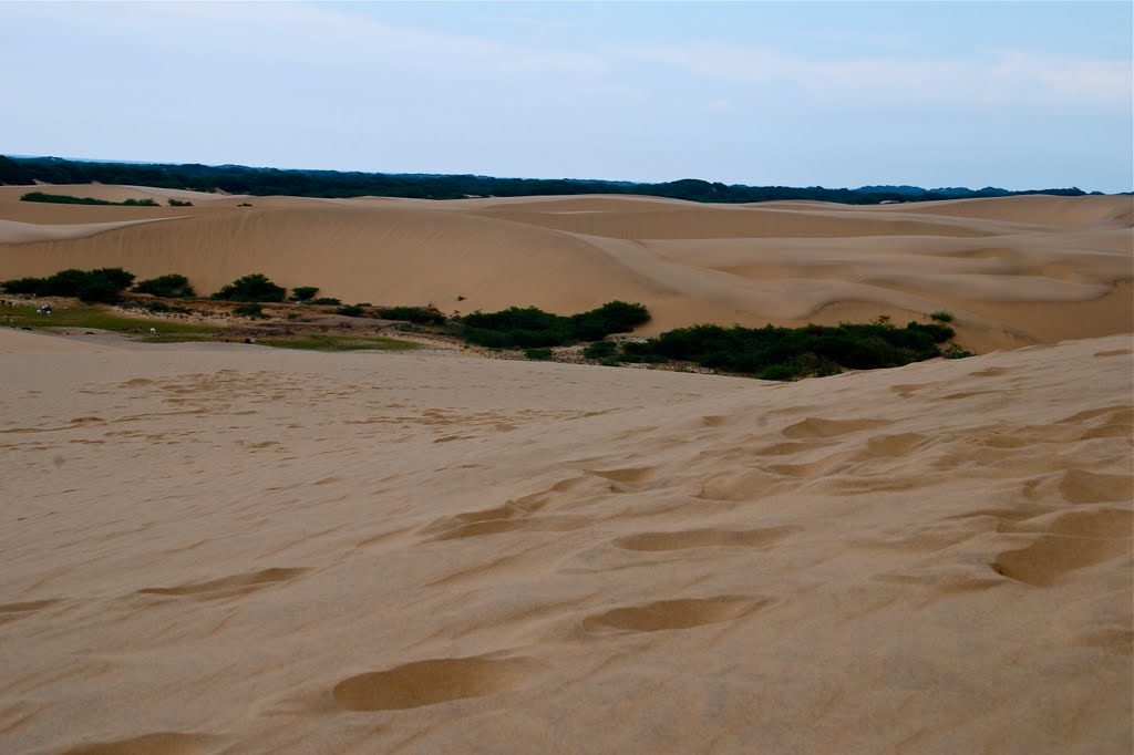 Medanos de Coro, Arenas II by Leo_Lucena