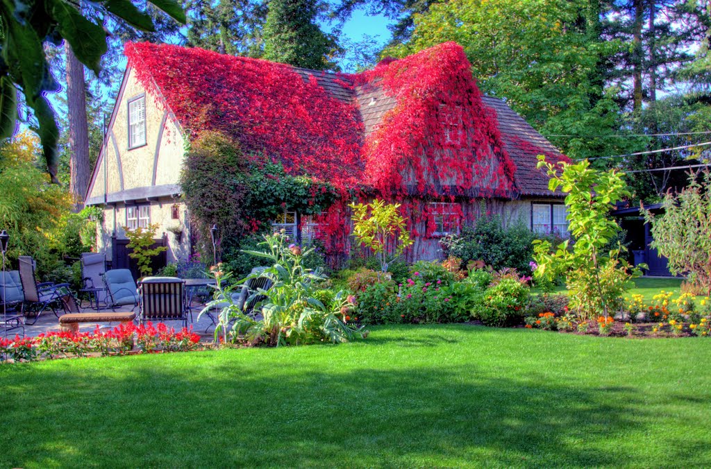 Ivy covered cottage in View Royal by Wiley1