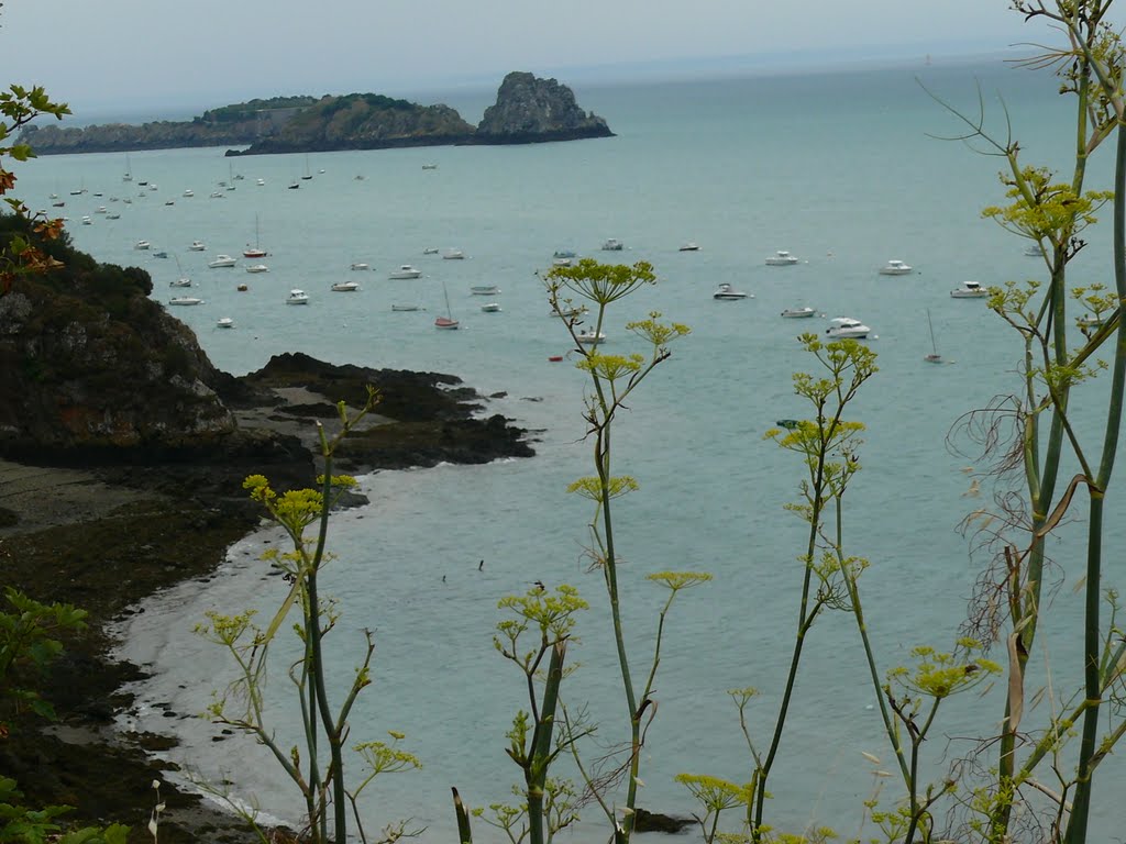 Cancale by Francisco Martos