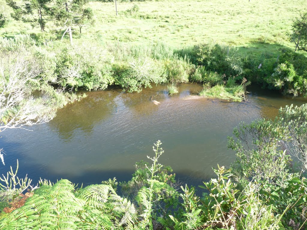 Rio Canoas - Urubici SC by cicero r maciel