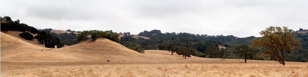 View east of pasture from Marsh Road 9/17/10 by Edward Rooks