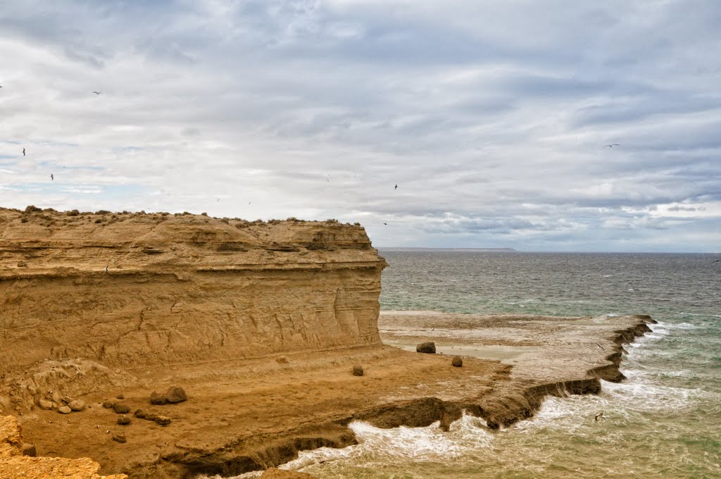 Puerto Madryn by Guillermina