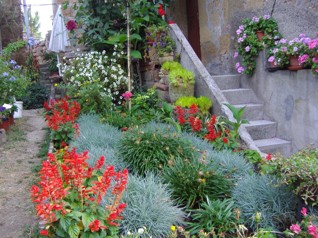 Giardino fiorito nella Piazza di Sovana by baldan7