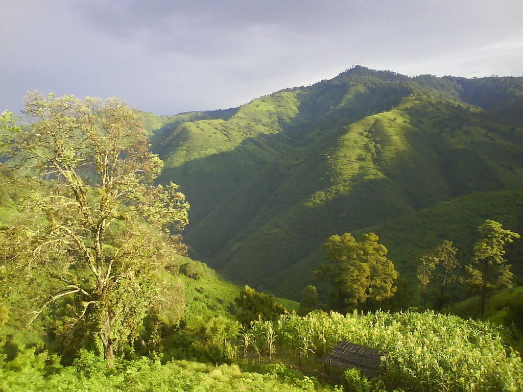 Paisaje en Pueblo Viejo Gro. by eduardo cuenca