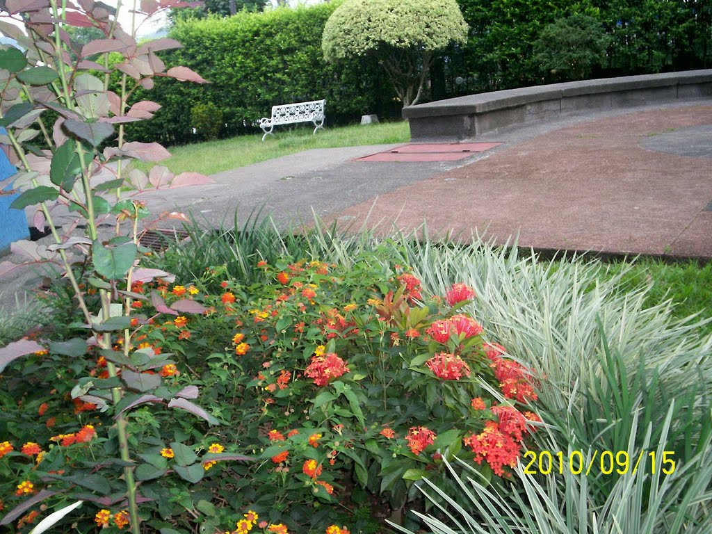 Jardín interior en urbanización arrayanes, pereira by ORLANDO/42