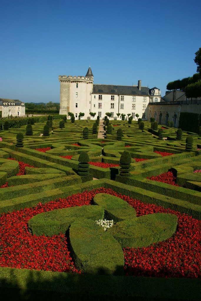 Chateau de Villandry by Sara Baggio