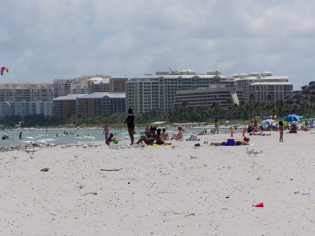 South View from Crandon Park by Robert Lam