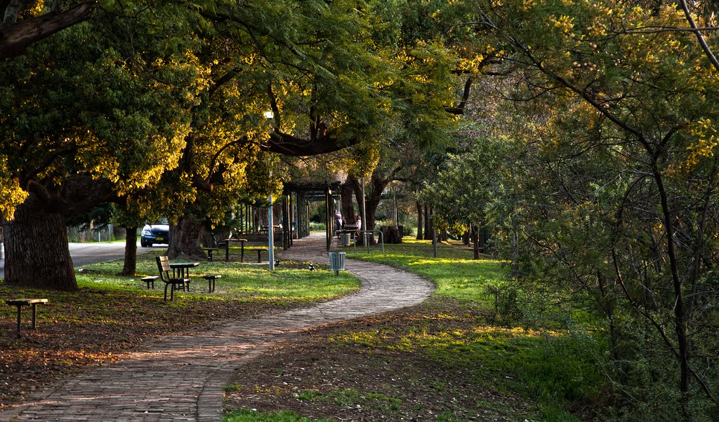 A walk along the river at Windsor by paul sikora