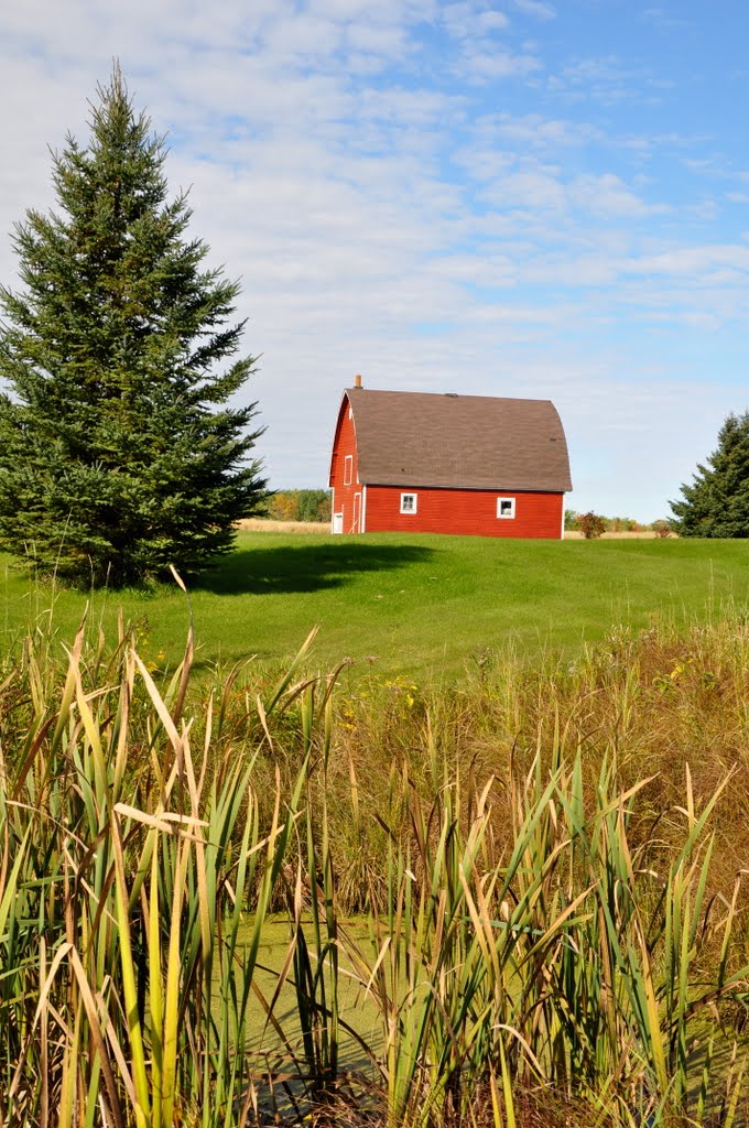 Little Red Barn In Roosevelt, Mn by CallanBP