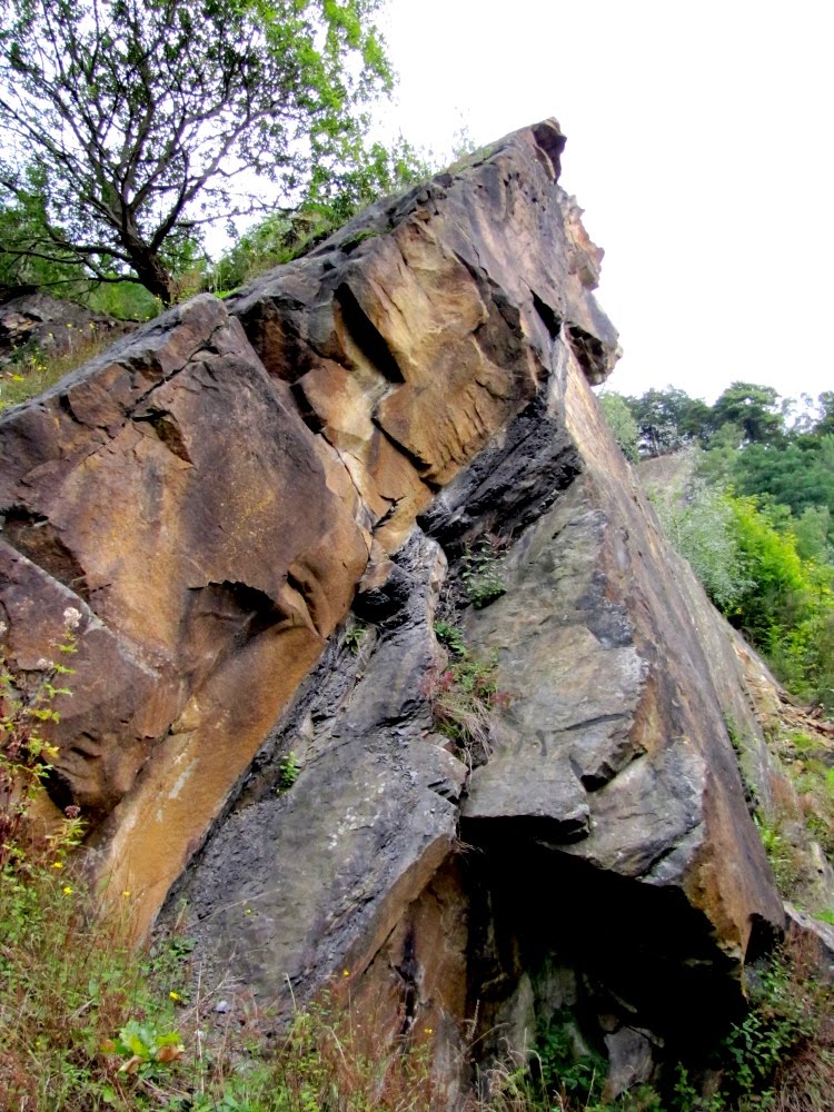 Witten: Steinbruch Rauen, Ruhrsandstein mit Kohleschicht by Dieter Möller