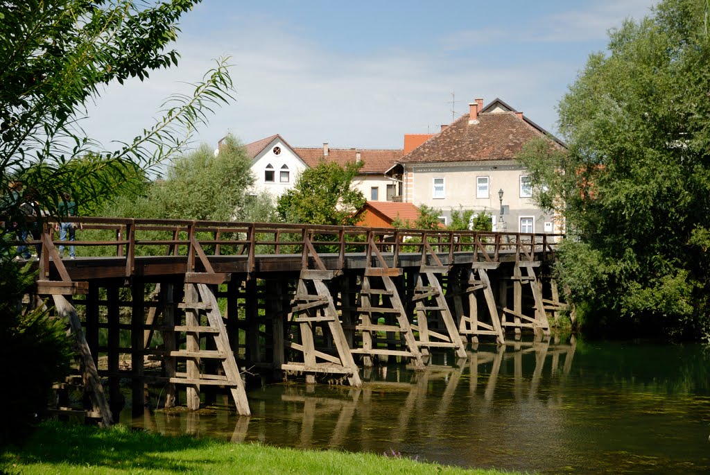 8311 Kostanjevica na Krki, Slovenia by Enrico Nespolo