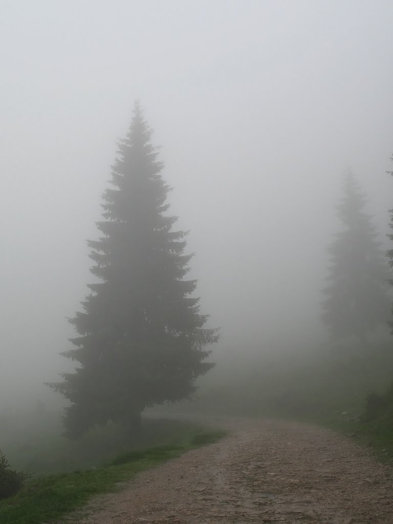 Budureasa, Romania by PavolG