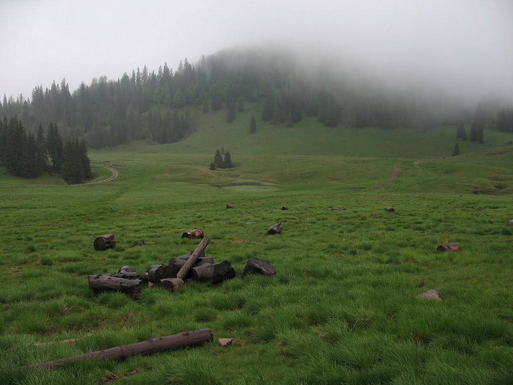 Budureasa, Romania by PavolG