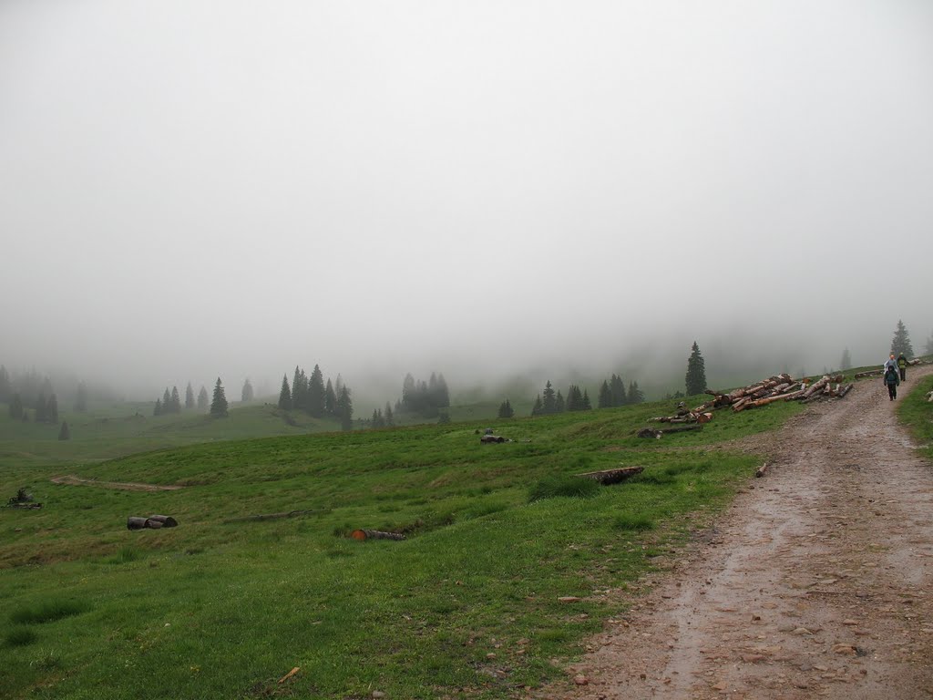 Budureasa, Romania by PavolG