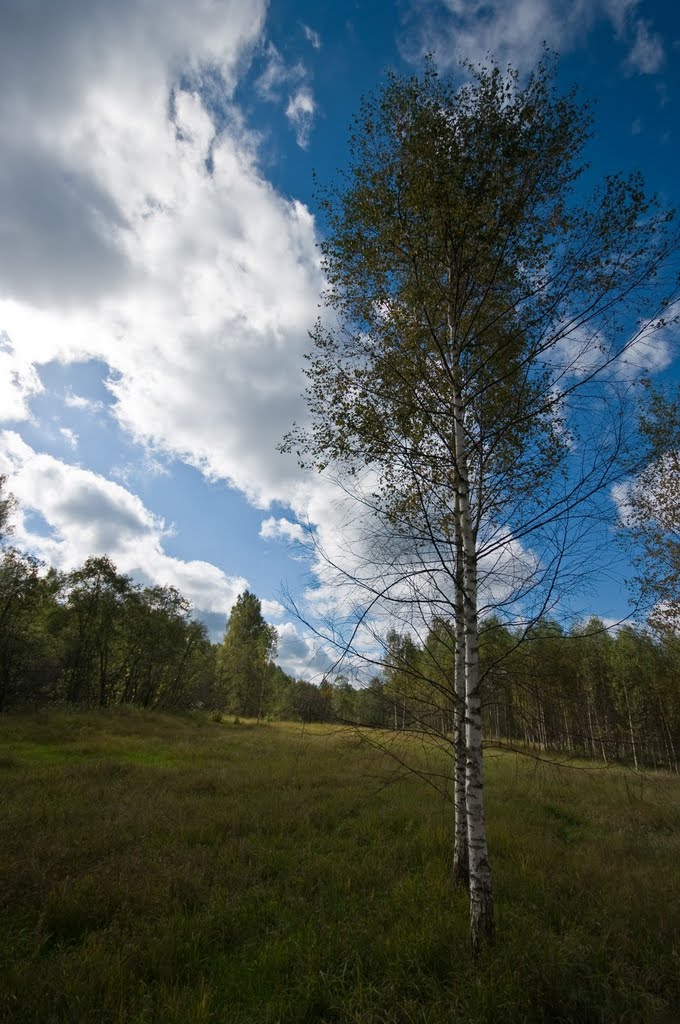 Kalininsky District, Tver Oblast, Russia by Sergey Shurgin