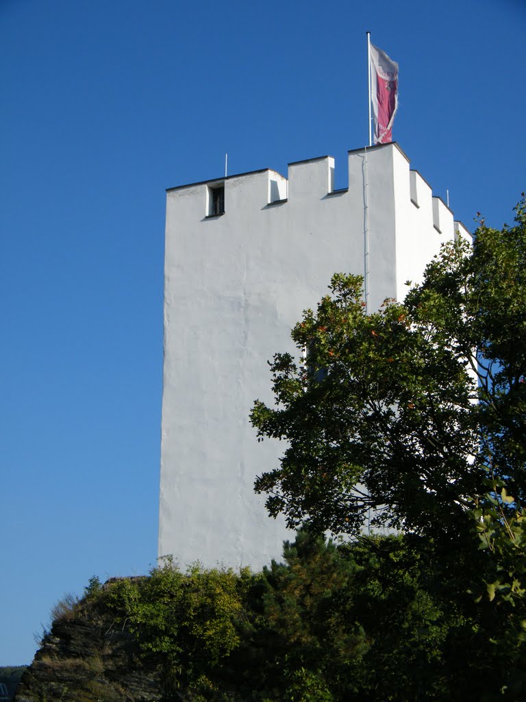 Burg Sterrenberg - Kamp-Bornhofen 2 by trexico69