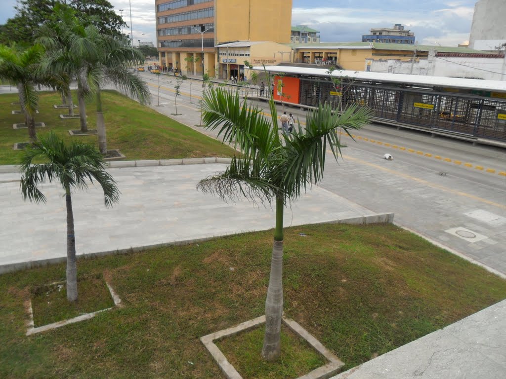 Estación/Bus Stop Parque Culural by 3700993