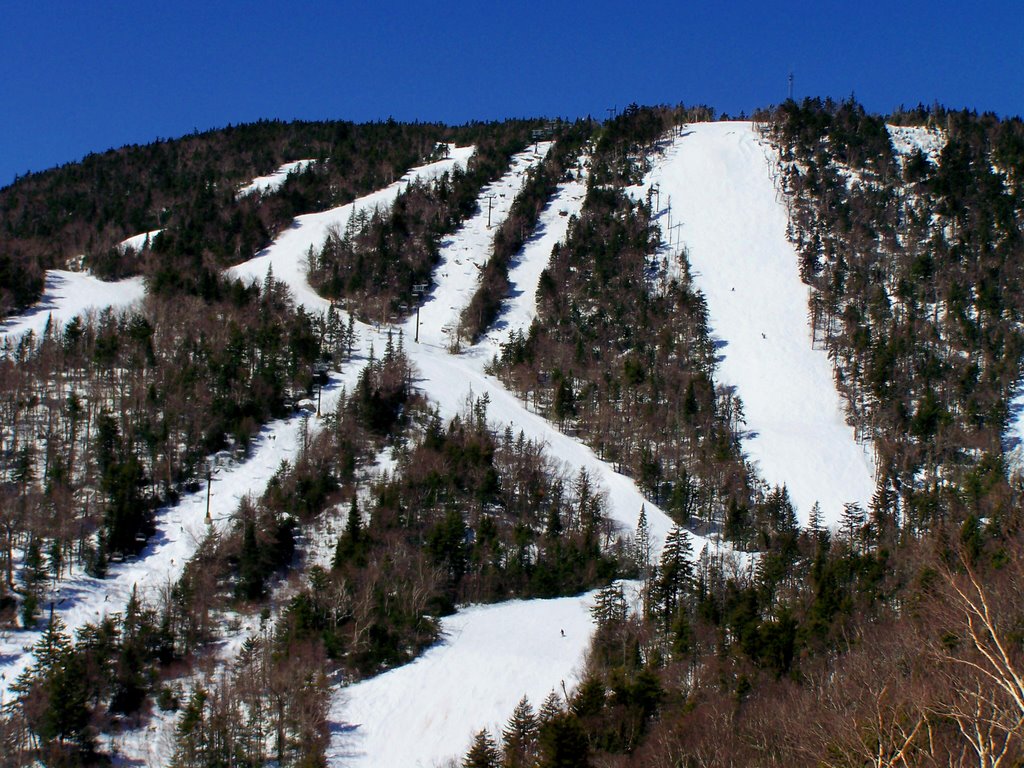 View of Gore's Straight Brook area by rhl130