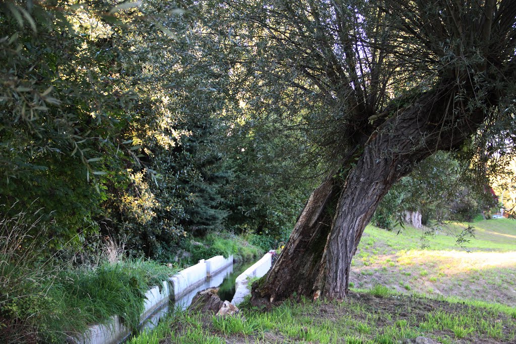 Niederdorla - Siebenmühlenbach am Aquadukt by volkid