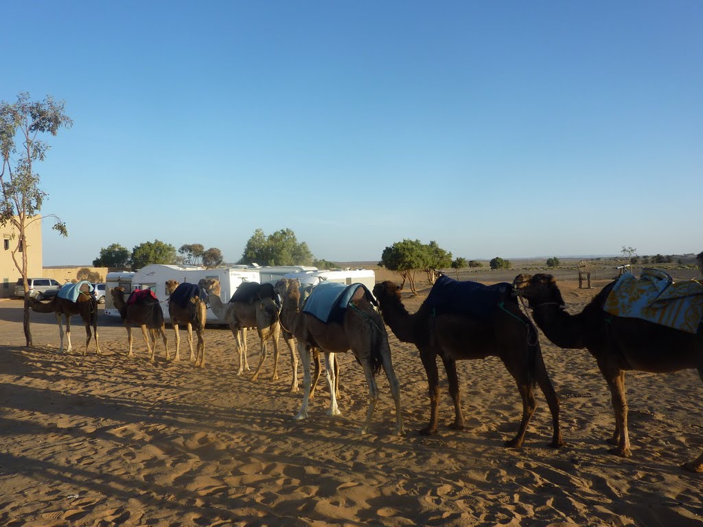 Recien llegados a kasbah. http://viajar-con-autocaravana.blogspot.com/ by alfredo sarria (alsa…