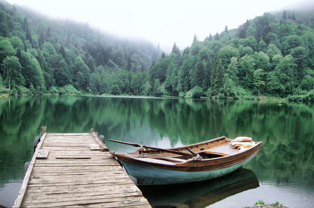 Karagöl-Borçka- Artvin by Fatma Özdemir