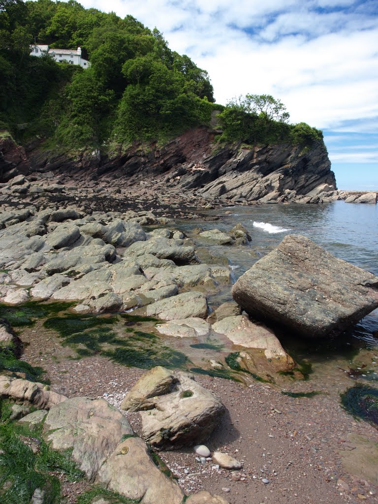 Woody Bay by Tim Gardner