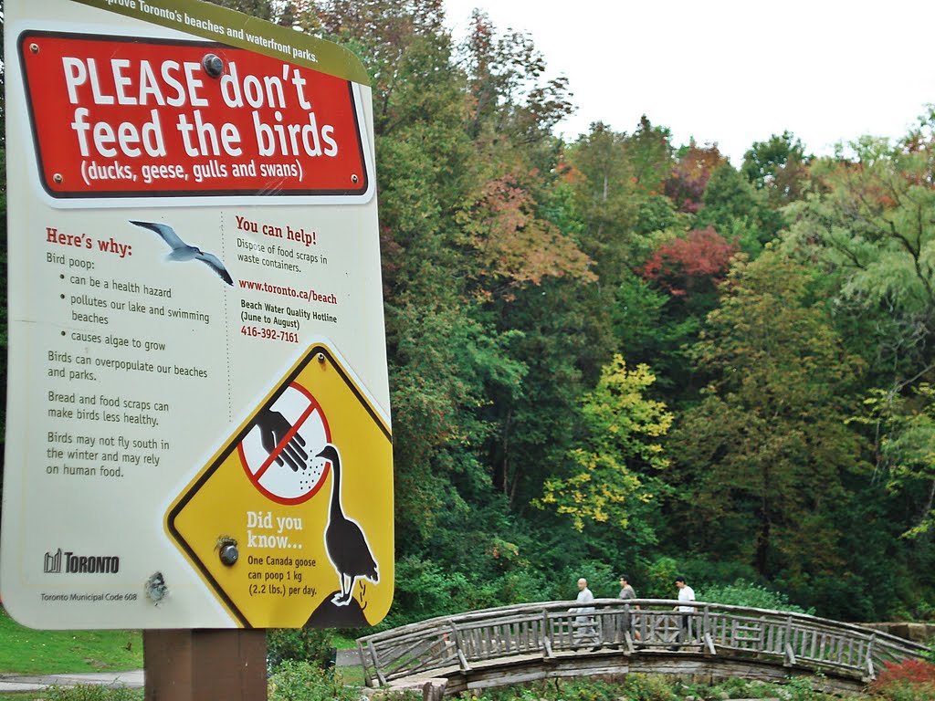 Don't Feed The Birds Sign by pano_fan2010