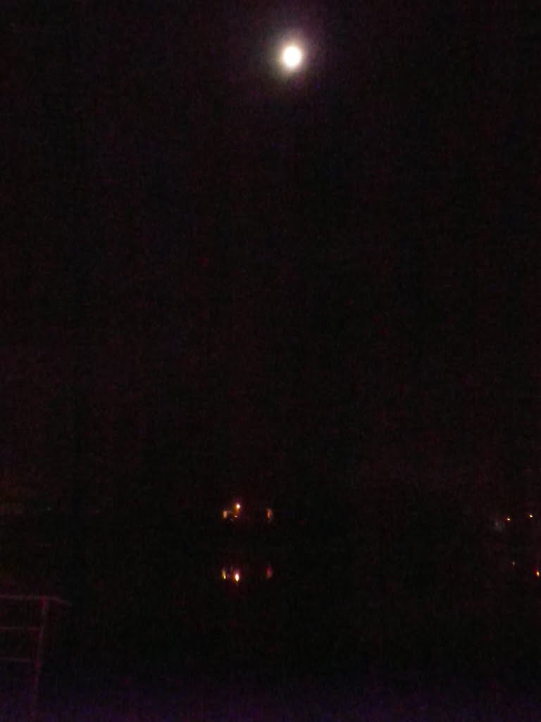 La luna no se quiso bañar esa noche del Bicentenario en el Calle-Calle by Alcione en Valdivia