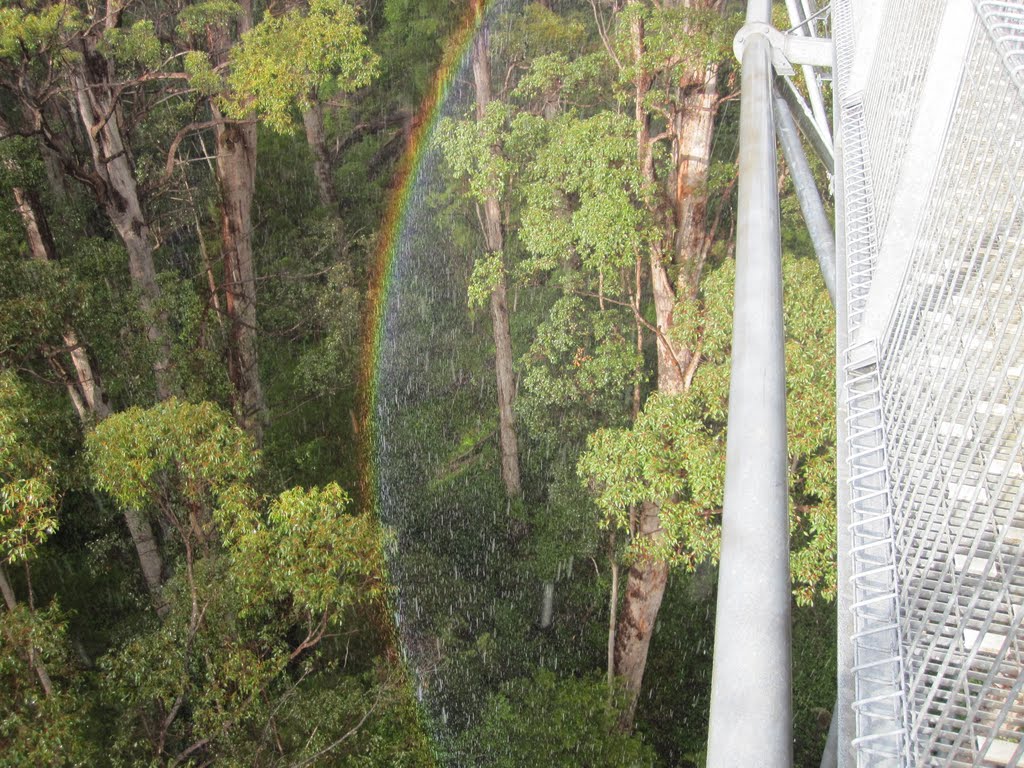 Rainbow at The Skywalk - Valley of the Giants - Nornalup WA by Garry Woodward - Win…