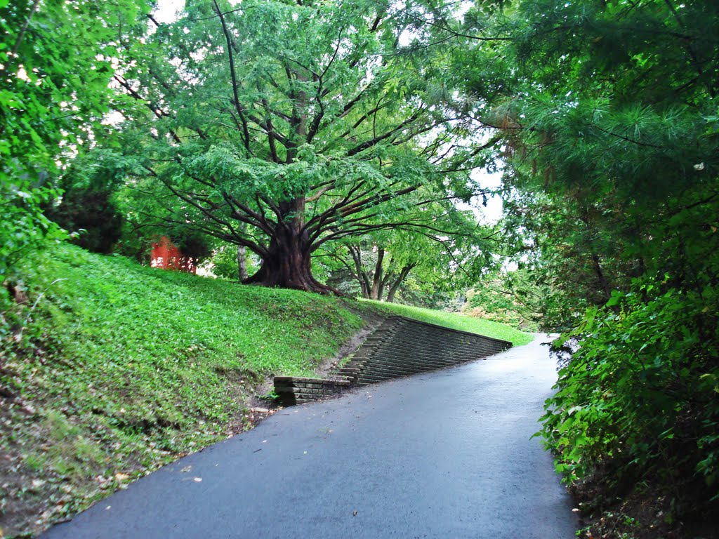 Walking Path at Edwards Gardens by pano_fan2010