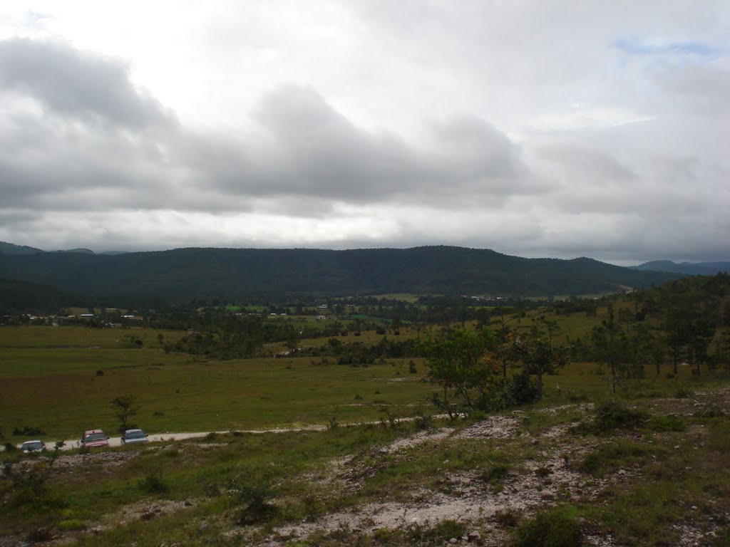 Vista esde el bosque de Arboles Enanos by GerardoCruz