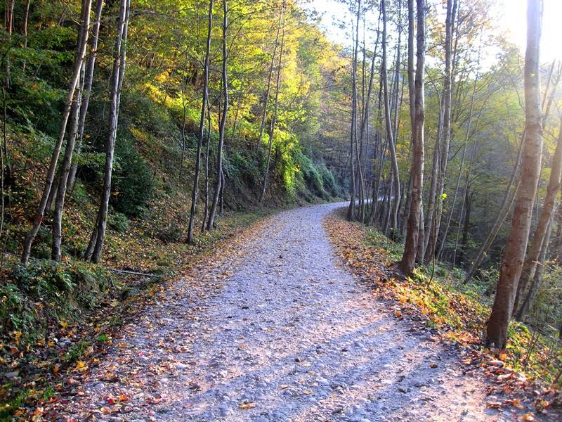 Fall in kelarijan ... پائیز در کلاریجان by hadi  khalili