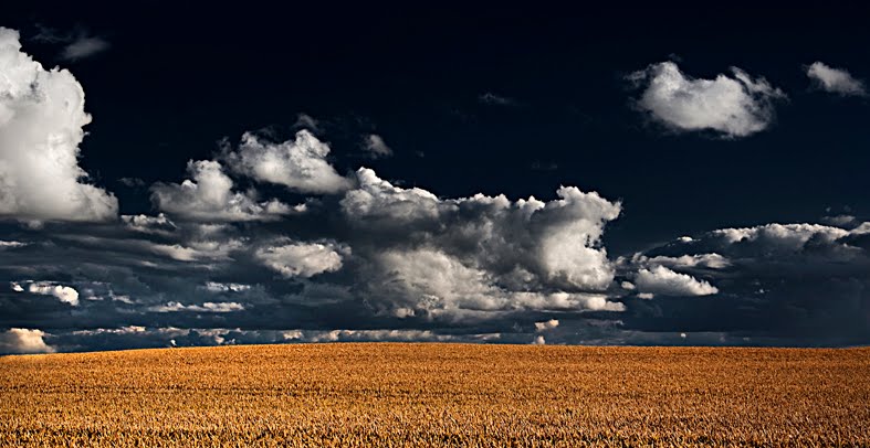 Summer Storm Sky & Corn, Kildare, Ireland. by 2c