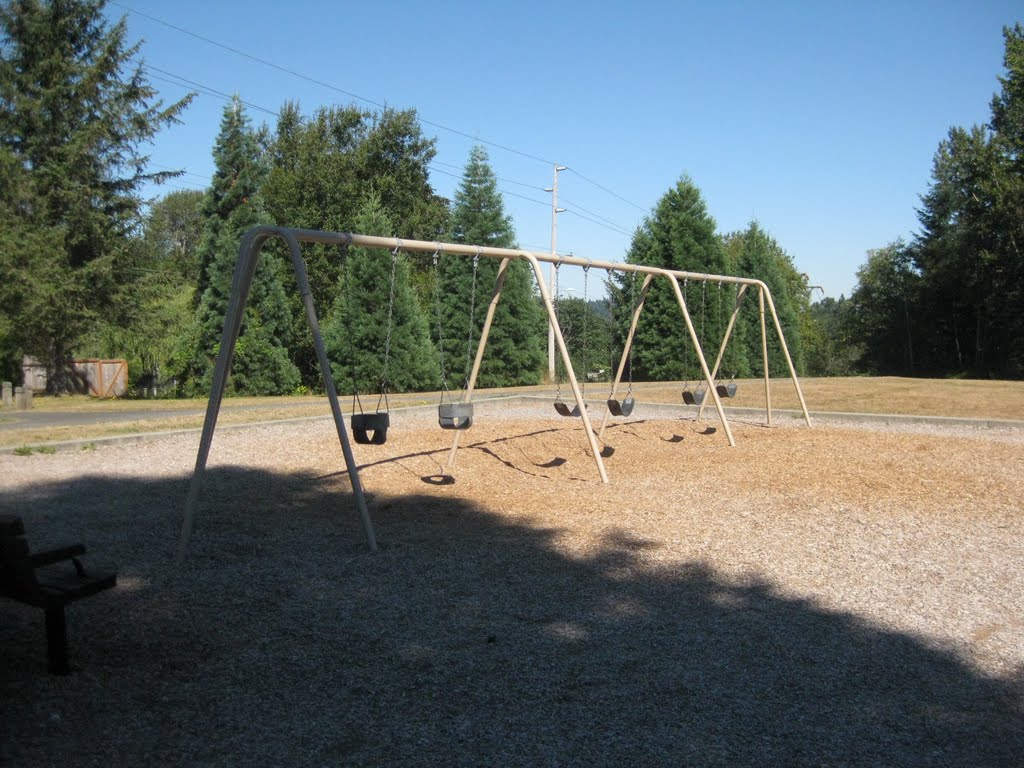 Swings at Crestwoods Park Kirkland Washington by philleng