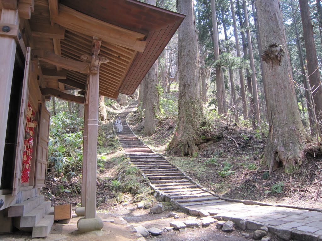 出羽三山神社(山形県鶴岡市) 参道石段 2446段 by akayar