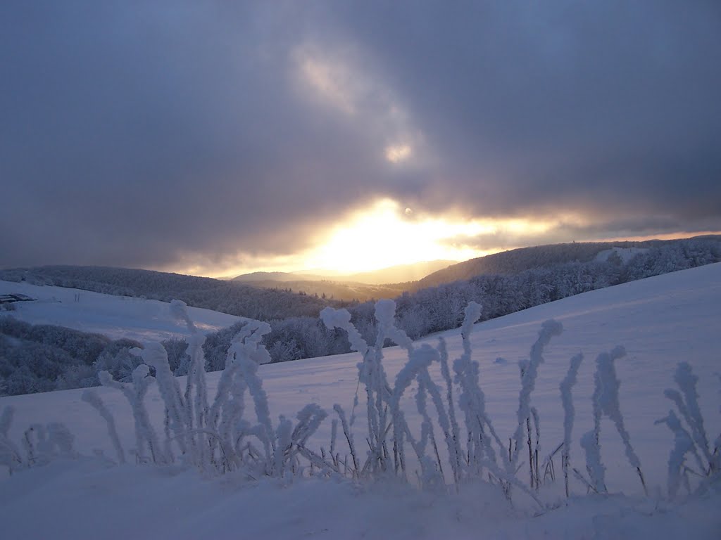 Vosges en hiver by f.beyrend