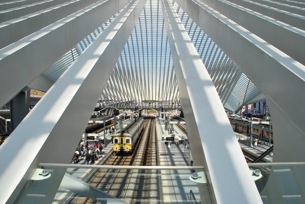 Gare Guillemins by dreedethuin