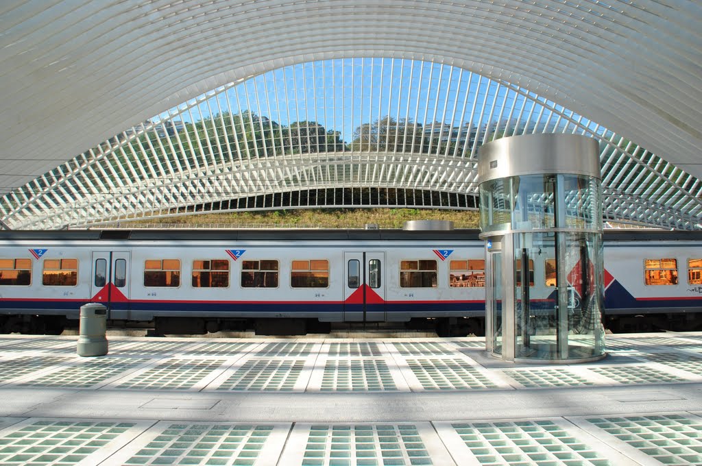 Gare Guillemins by dreedethuin