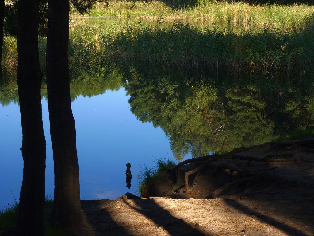 Autumn has come - reflection by Maciejk