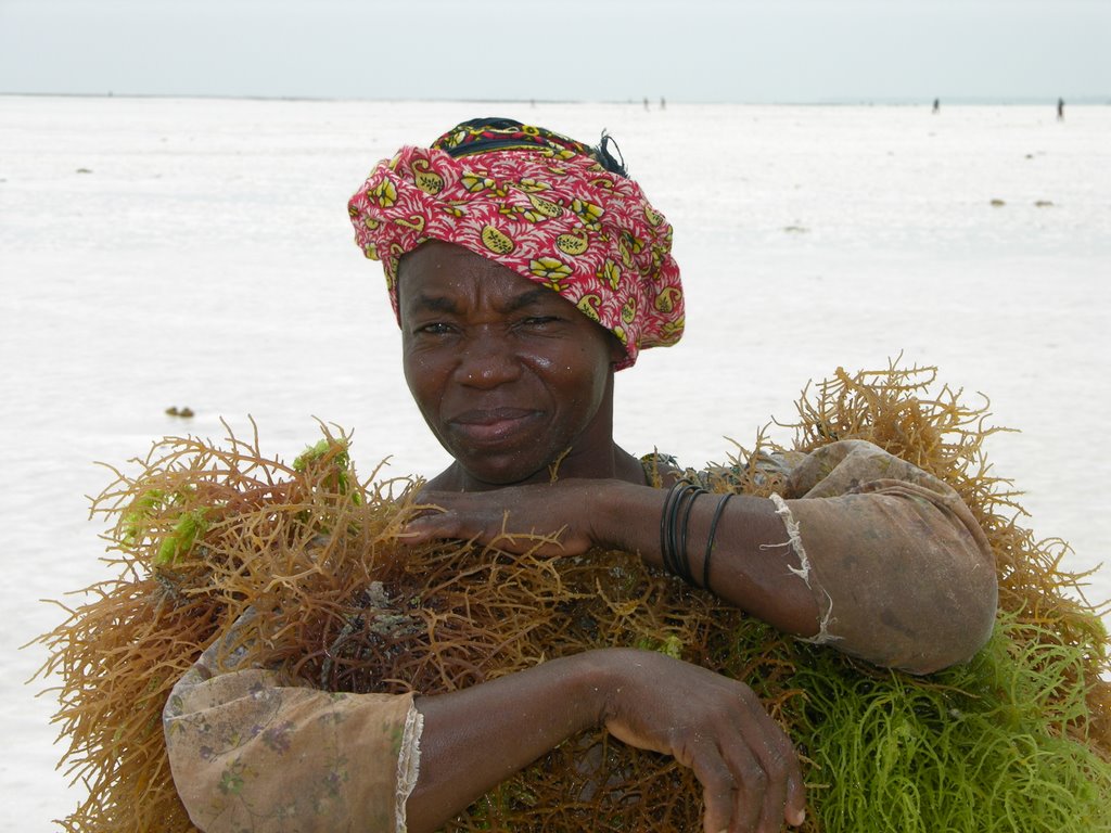 Zanzibar - Kiwengwa beach - Raccoglitrice di alghe by Paolo Grassi