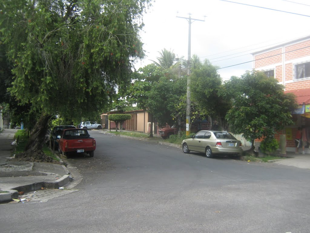 Esquina vista hacia el norte by willbarillas